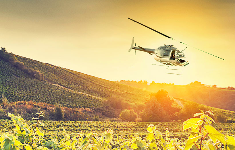 Wine Country Immersion